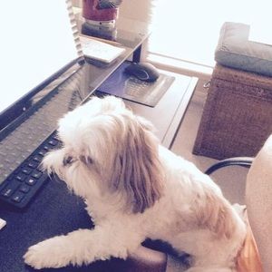 Meet your Posher, Robin